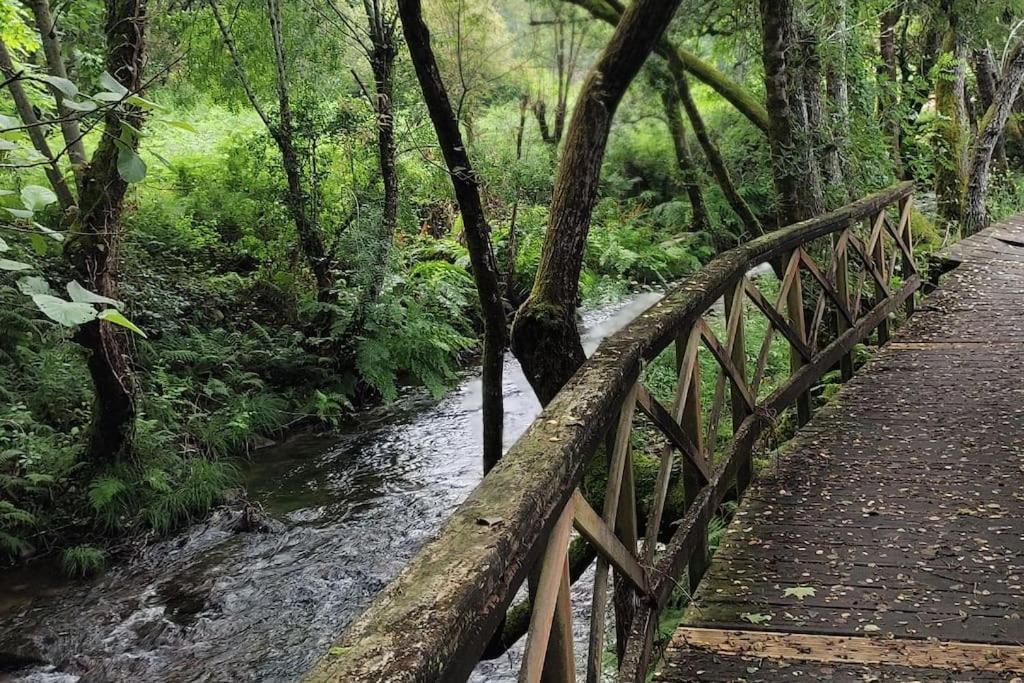 Appartamento Tranquilidad Y Naturaleza Mondariz-Balneario Esterno foto